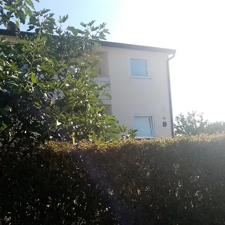 Ulika Buici (Istria)